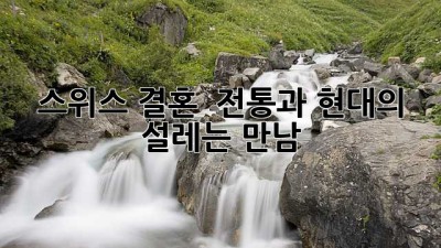 스위스 결혼 🇨🇭 전통과 현대의 설레는 만남 ✨