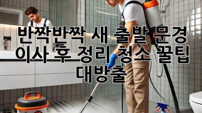 ✨ 반짝반짝 새 출발! 문경 이사 후 정리, 청소 꿀팁 대방출 🏡