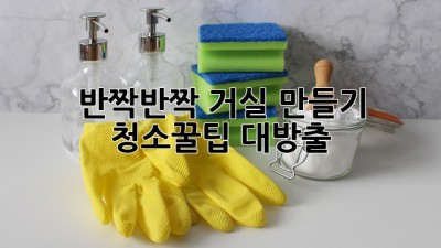 ✨반짝반짝 거실 만들기✨ 청소꿀팁 대방출!🛋️